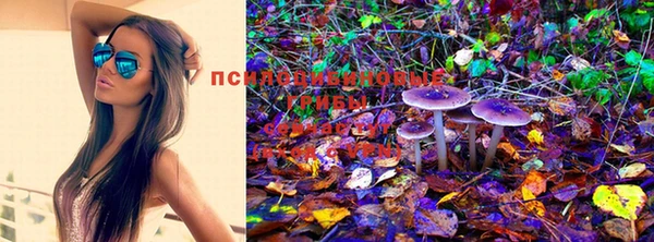 мяу мяу мука Медногорск